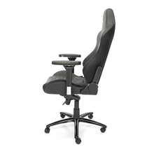 Load image into Gallery viewer, MAXNOMIC® Ergoceptor Pro Slightly Silver